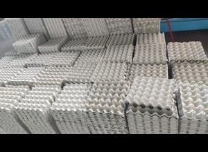 Beston BTF5-8 EGG TRAY high-capacity, fully automatic egg tray production line