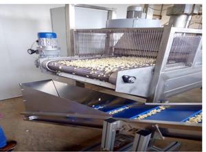 Complete lines for short pasta and tagliatelle nests ITALIE MACHINE C300