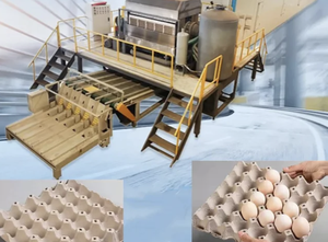 Egg Tray Production line